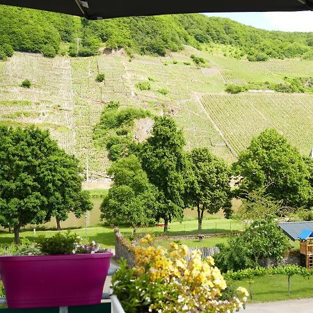Ferienwohnung Weingut Tosta Trittenheim Exterior foto