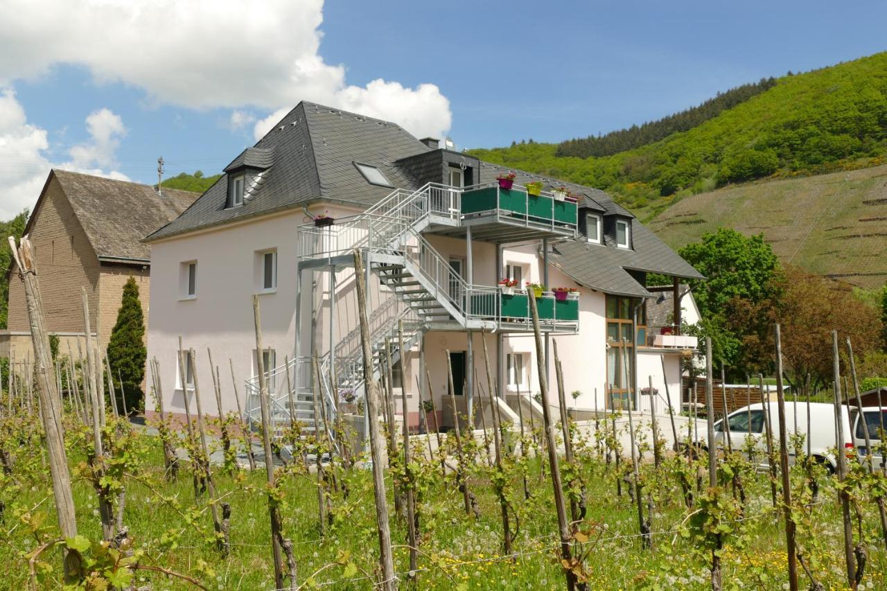 Ferienwohnung Weingut Tosta Trittenheim Exterior foto