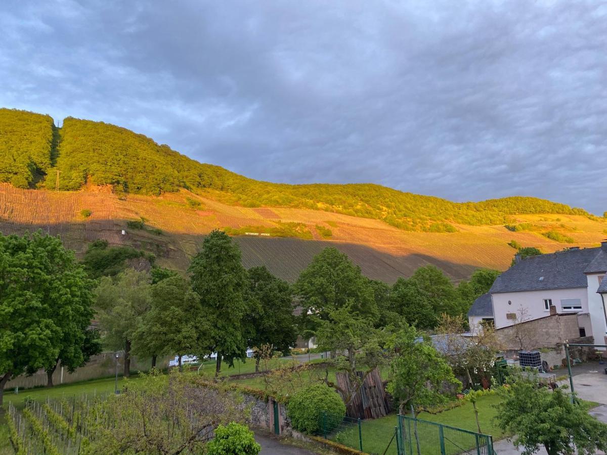 Ferienwohnung Weingut Tosta Trittenheim Exterior foto