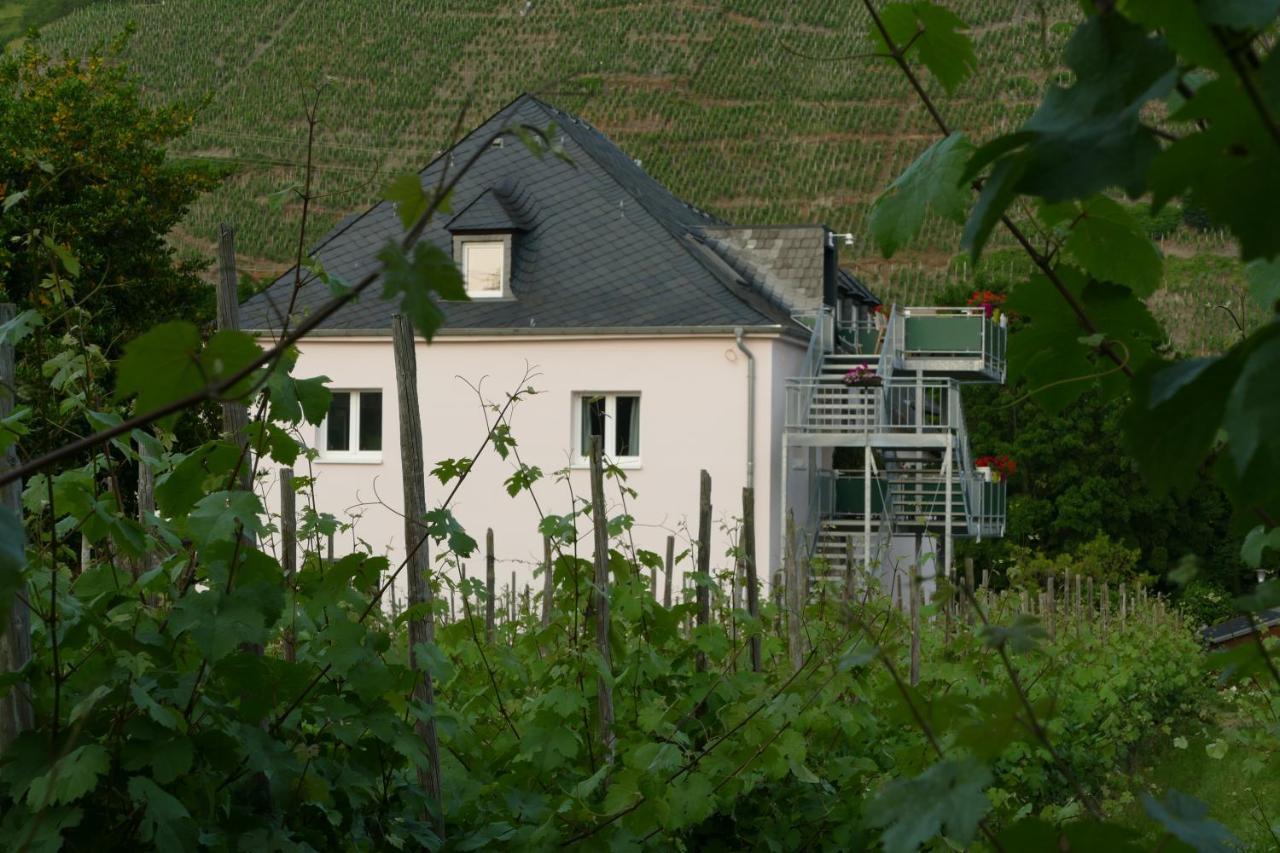 Ferienwohnung Weingut Tosta Trittenheim Exterior foto