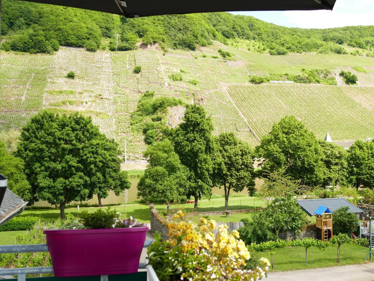 Ferienwohnung Weingut Tosta Trittenheim Exterior foto