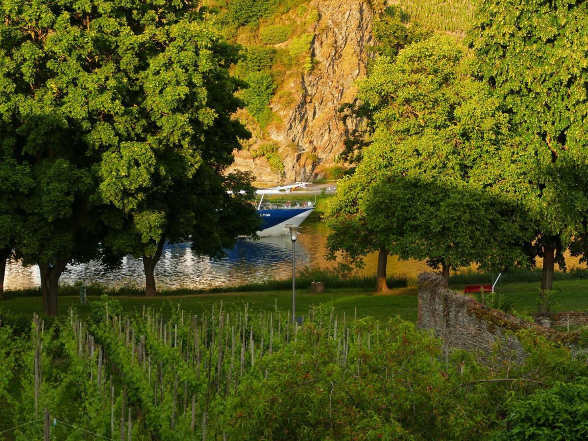 Ferienwohnung Weingut Tosta Trittenheim Exterior foto