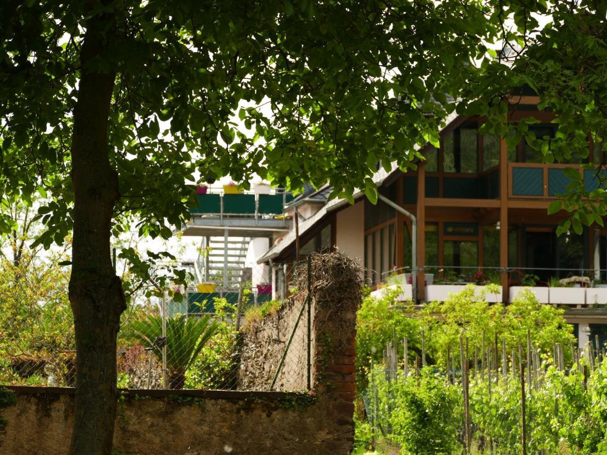 Ferienwohnung Weingut Tosta Trittenheim Exterior foto